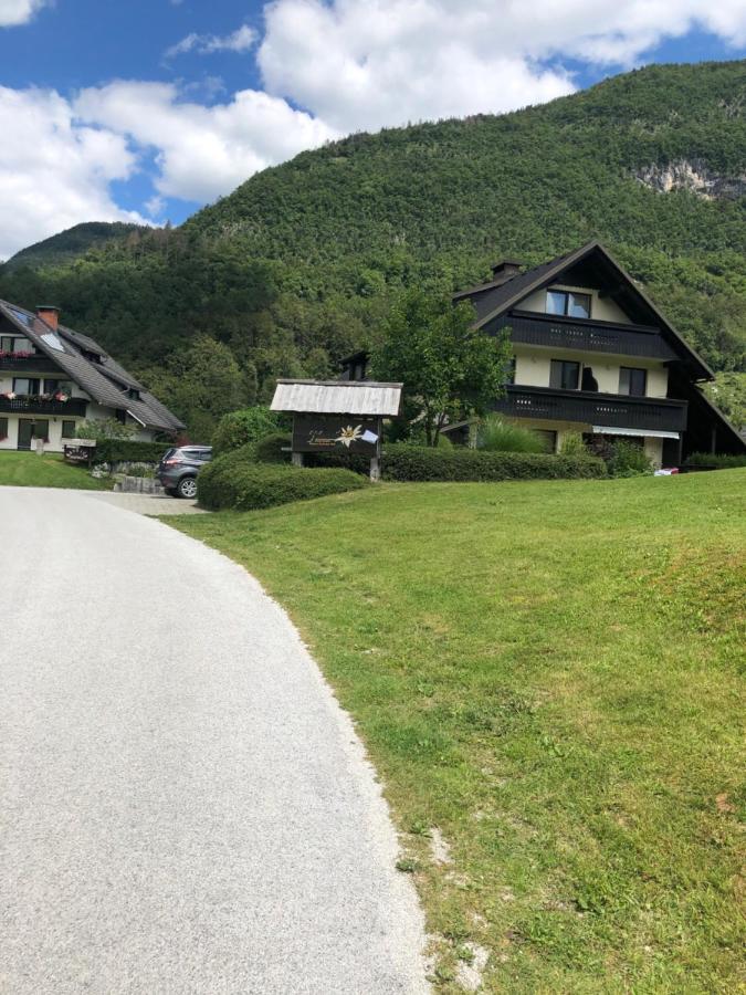 Apartment In The Heart Of Nature ボーヒニ エクステリア 写真