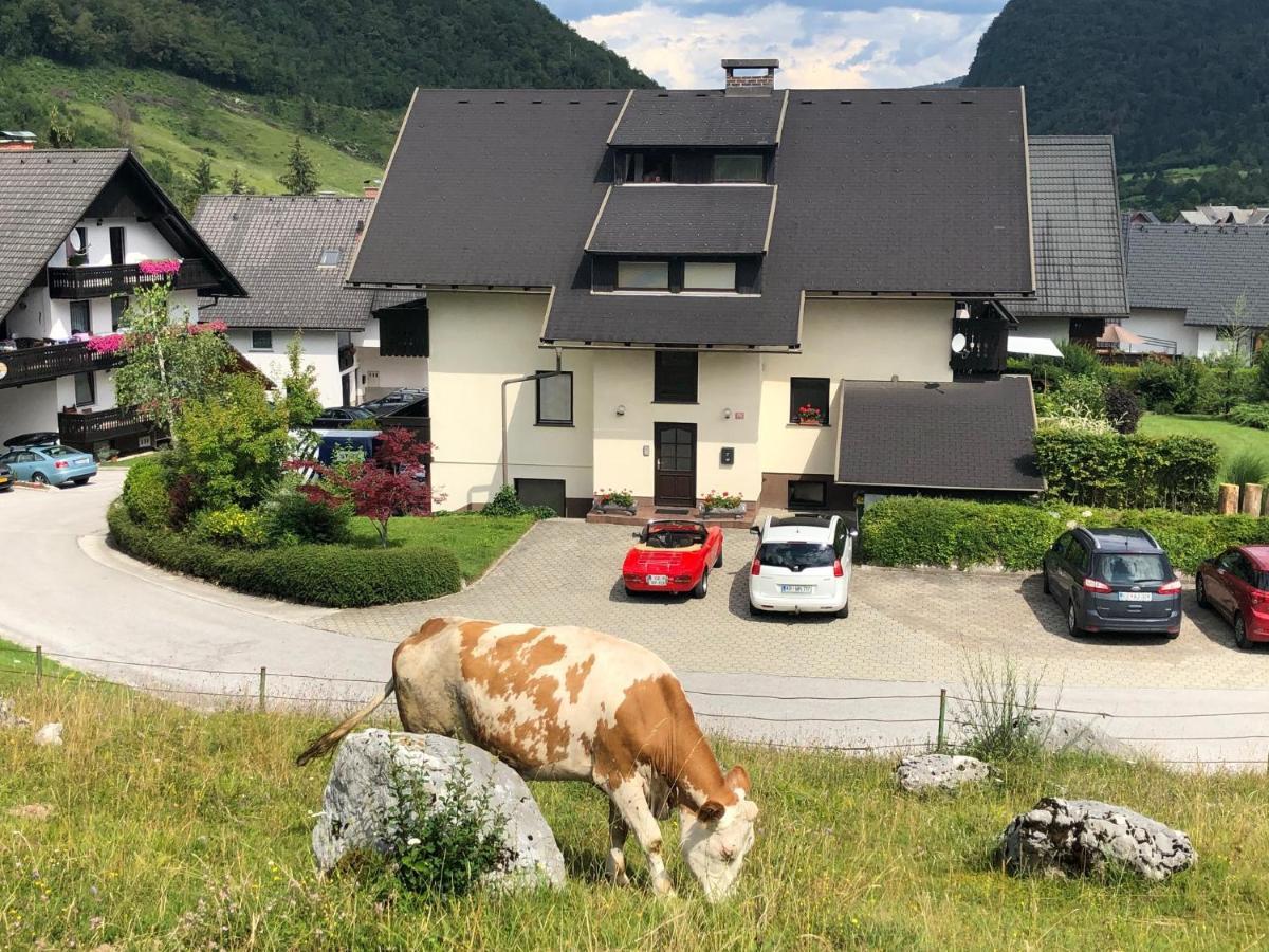 Apartment In The Heart Of Nature ボーヒニ エクステリア 写真